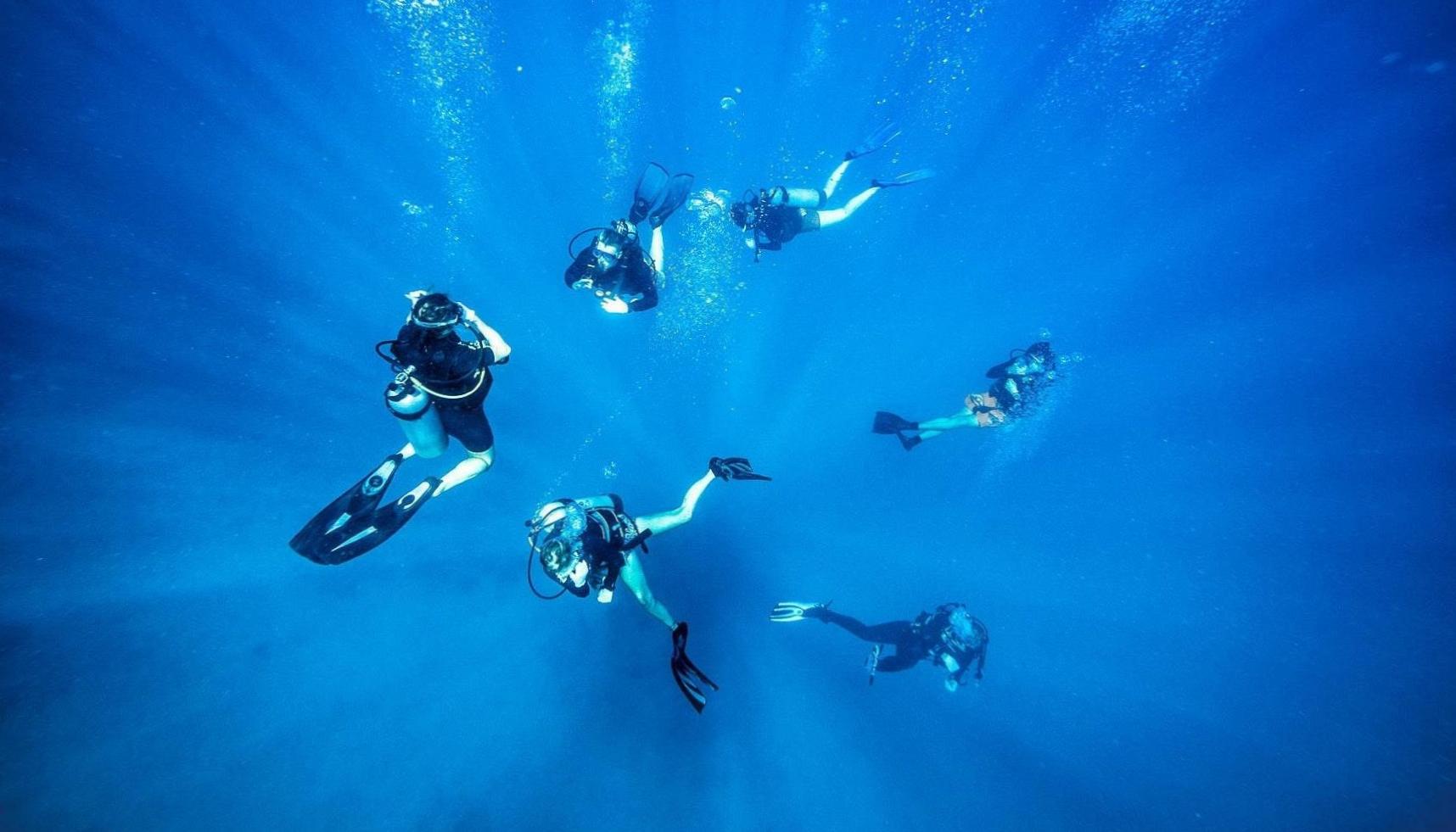 Adrenaline Rush Underwater: Diving Without Oxygen Tank