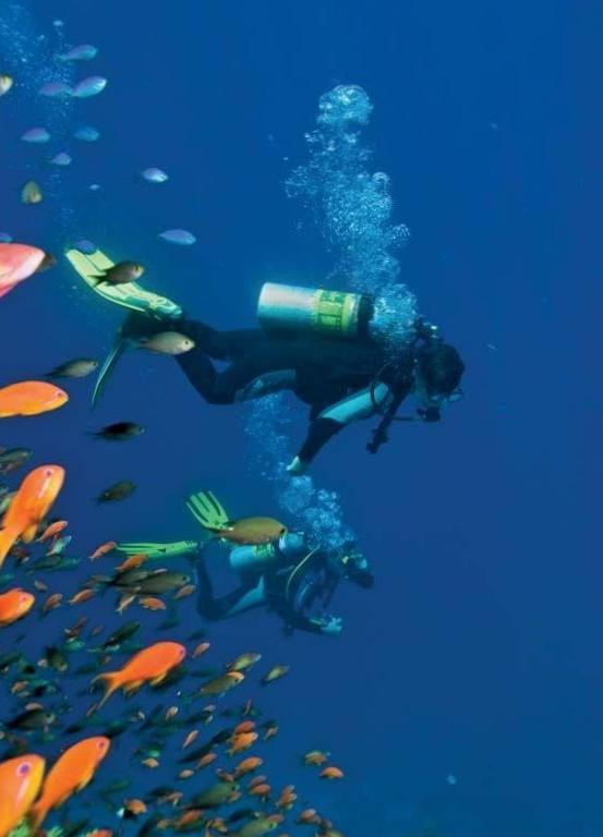Breathtaking Underwater Wonders