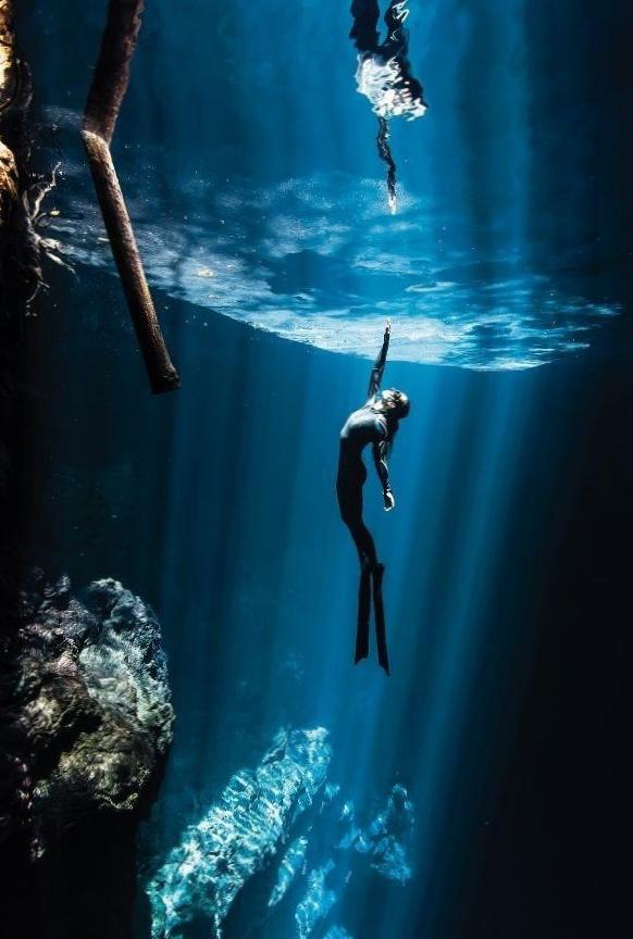 Discover a World Underwater