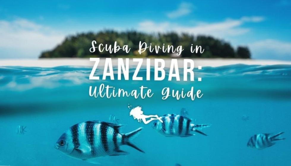 Discover the Spectacular Coral Reefs of Diving Zanzibar
