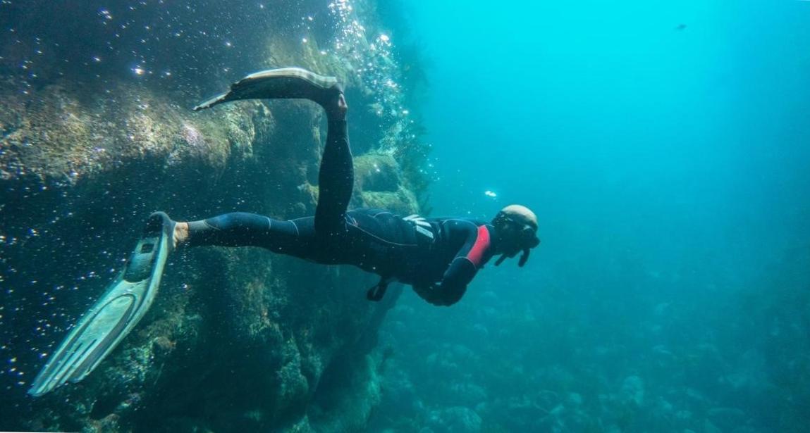 Dive Into Adventure in New Zealand's Pristine Underwater Paradises