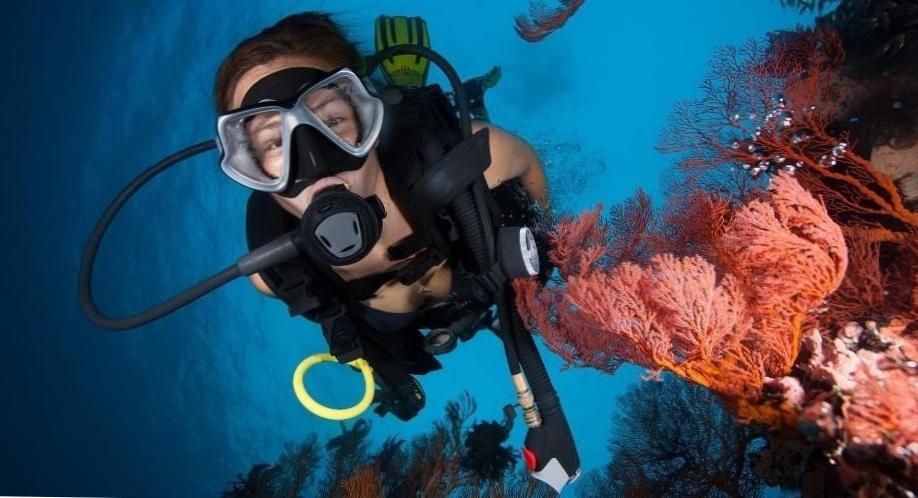 Diving Where to Learn: Beginner's Guide to Exploring the Deep