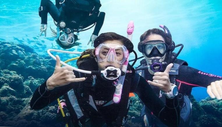 Experience the Thrill of Scuba Diving - Start Learning Today