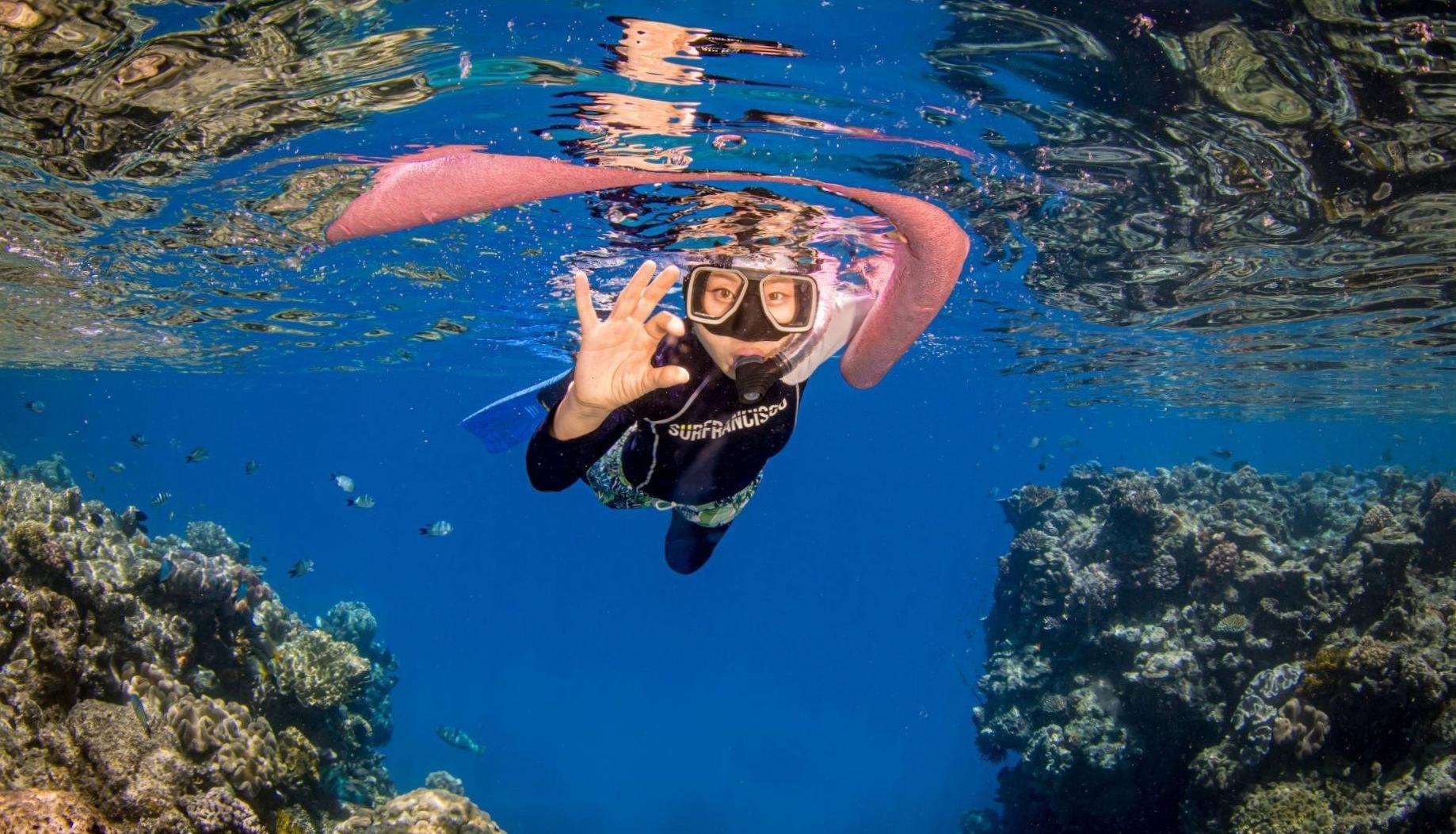 Explore the Depths: Scenic Snorkeling Journey