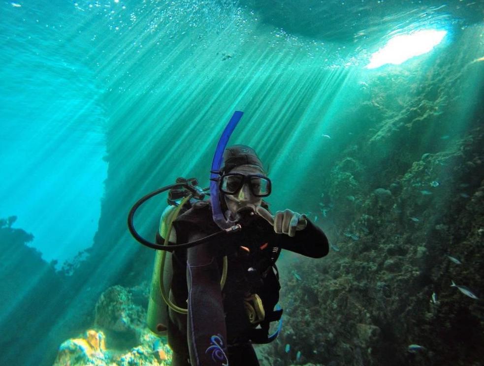 Explore the Underwater Wonders of Diving in New Zealand