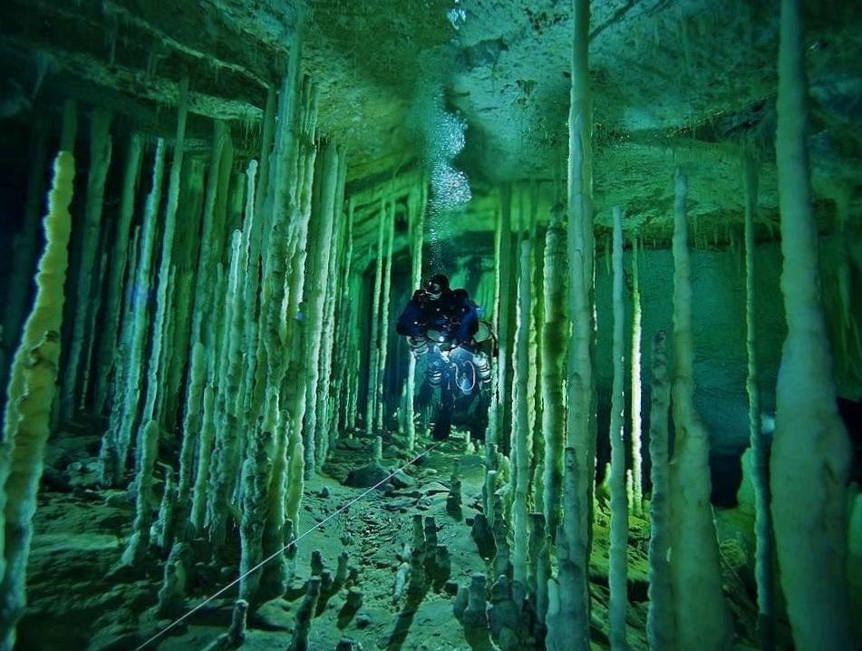 Exploring Unique Dive Sites in the Diving Mecca of Yucatan Peninsula 