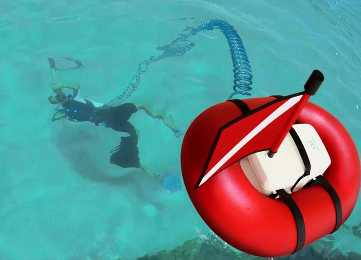 Feats of Human Strength: Oxygen Tank-Free Diving Adventure