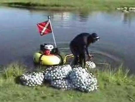 Lost and Found: Diving for Golf Balls