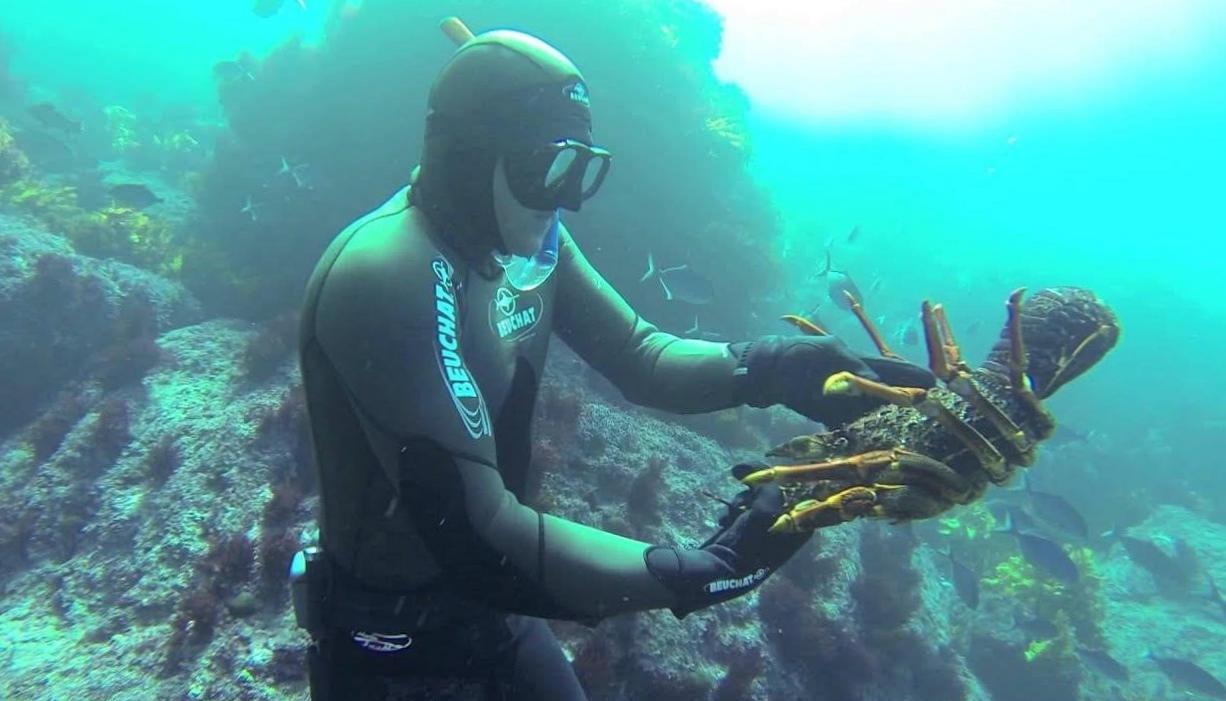Uncover the Secrets of New Zealand's Underwater Treasures