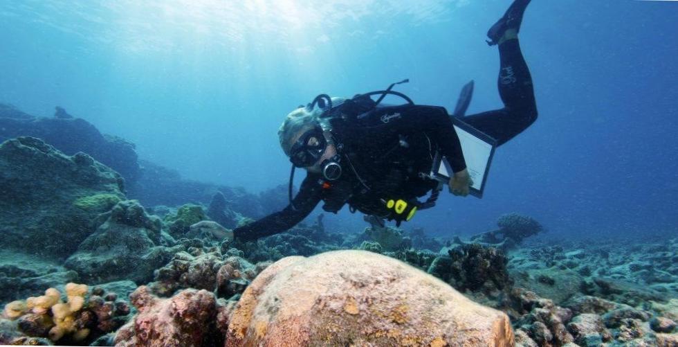  Commercial Diver Jobs Near Me - Discover the Depths of Opportunity! 