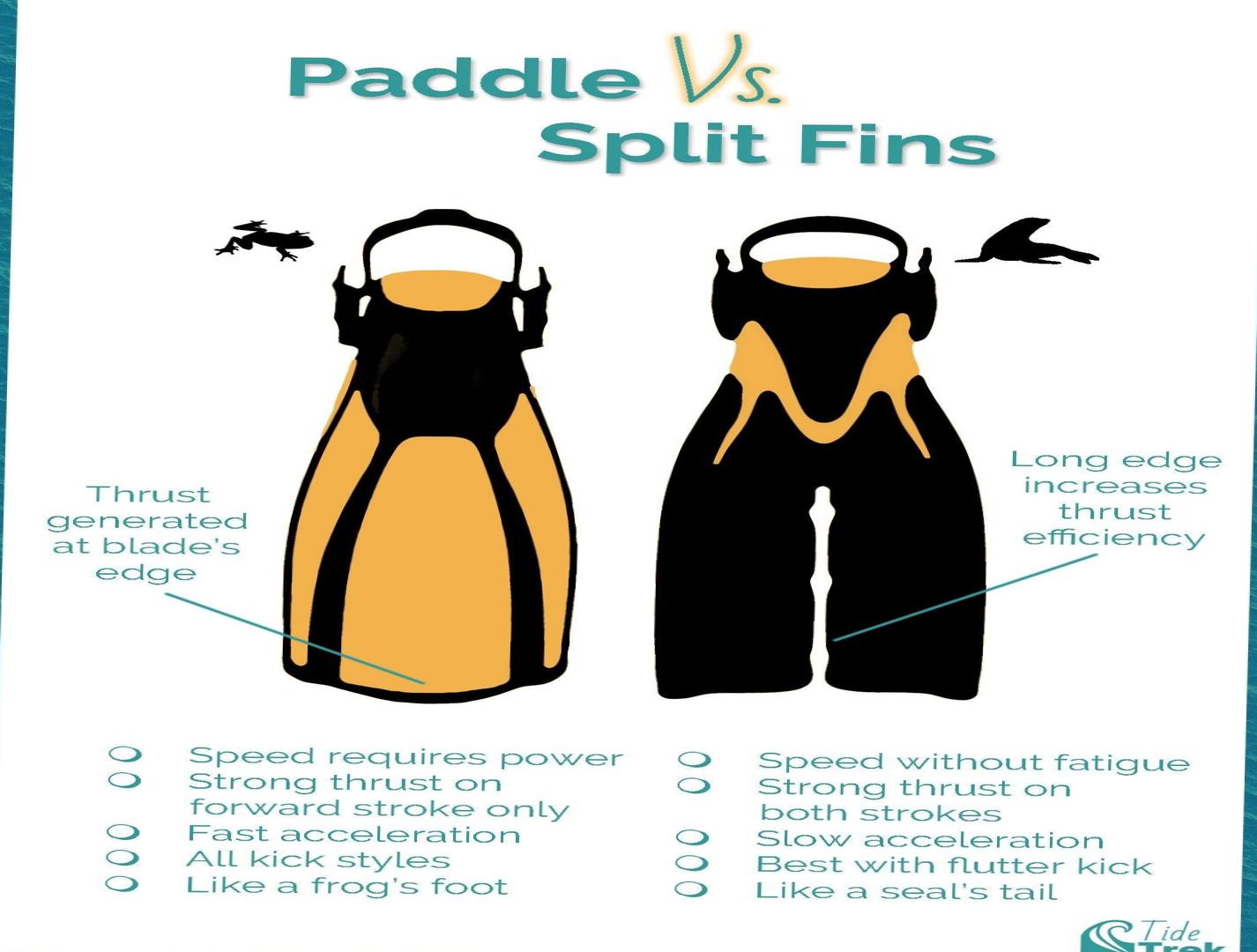  Compare Diving vs Snorkeling Fins - Which One Suits You? 
