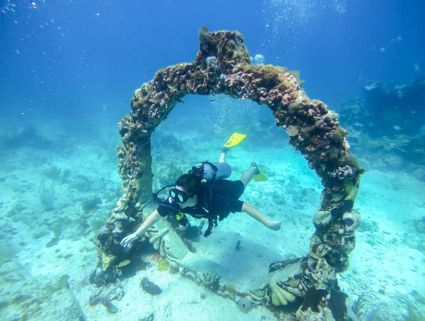  Discover the Exotic Marine Life while Diving Near Cancun 