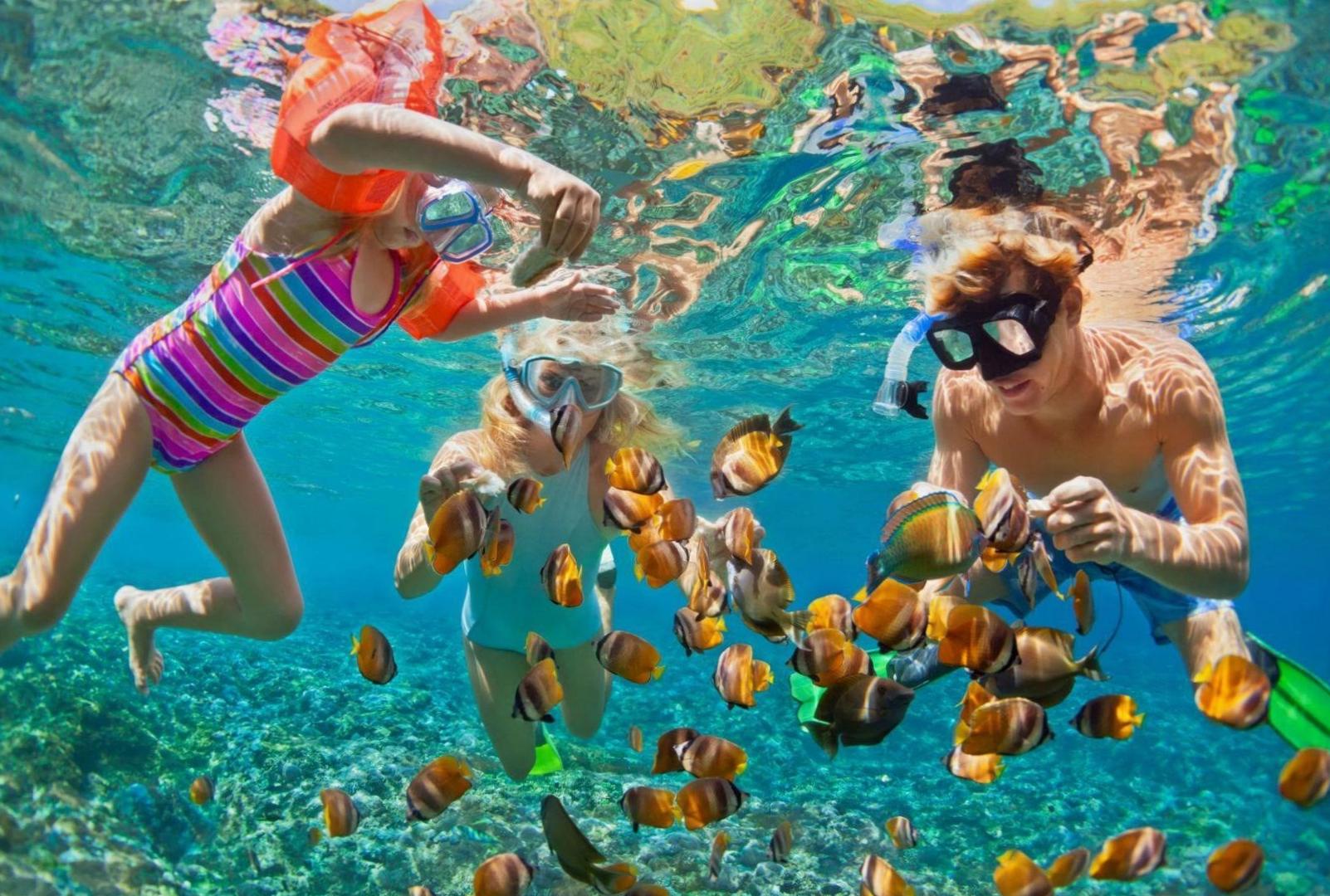  Discover the Thrill of Diving and Snorkelling 