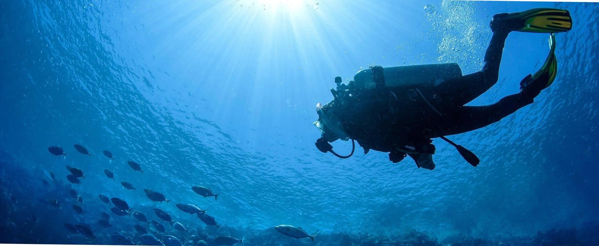  Discover the Wonders of Dive Safari Master: An Underwater Paradise Awaits 