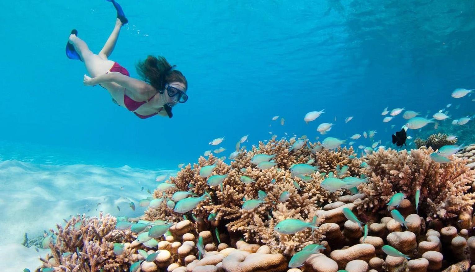  Dive Deep into the Underwater Wonderland of Maldives 