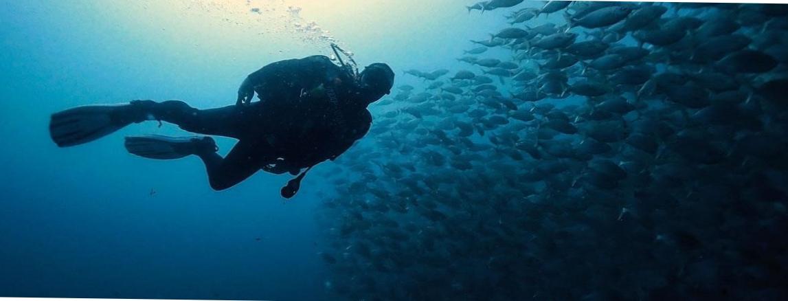  Dive Safari Master: Unveiling the Secrets of the Deep Sea 
