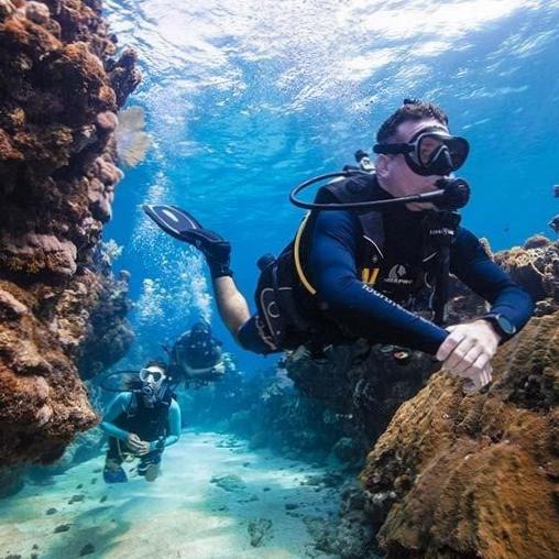  Dive into Crystal Clear Waters at Fujairah Diving Center 