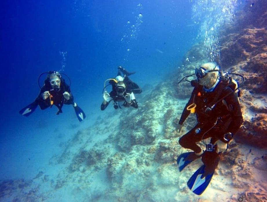  Dive into Satisfaction: Affordable Zanzibar Diving Prices! 