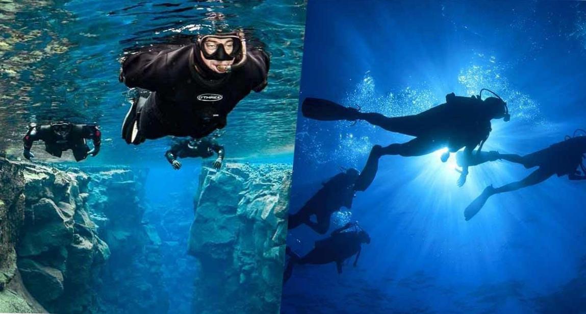  Dive into a World of Aquatic Marvels 