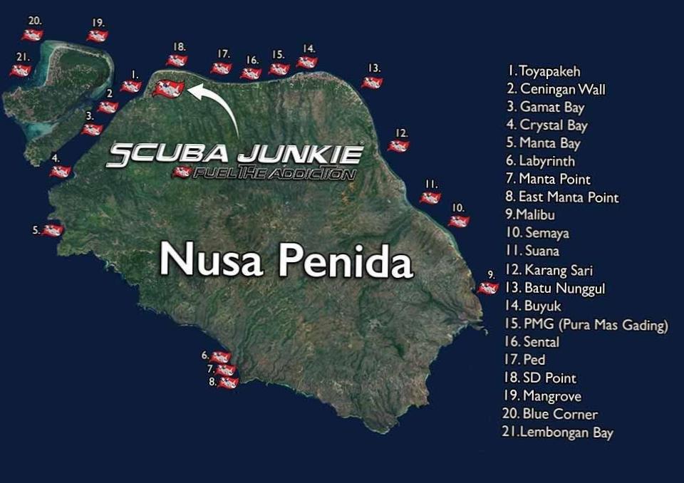  Dive into an adrenaline-filled underwater excursion in Nusa Lembongan 