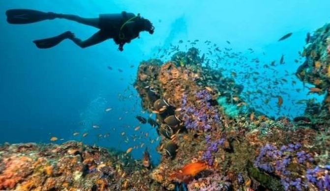  Diving Paradise: Unveiling Manila's Hidden Depths 