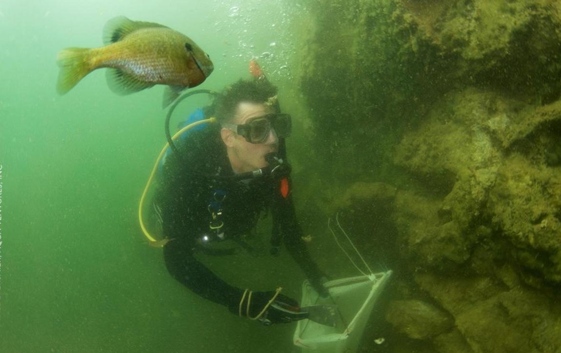  Diving Quarry Virginia: A Scenic Underwater Playground 