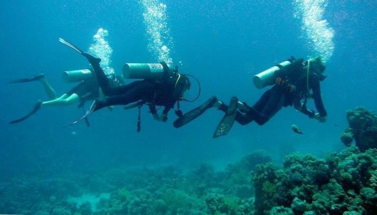  Diving Zanzibar Prices: Explore the Magnificent Underwater World! 