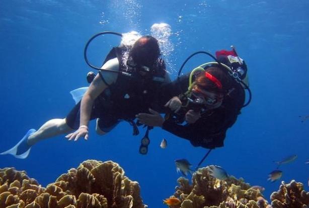  Diving for Beginners: Getting Started with Equipment 