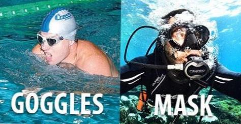  Diving vs Snorkeling Mask: Key Features Compared 
