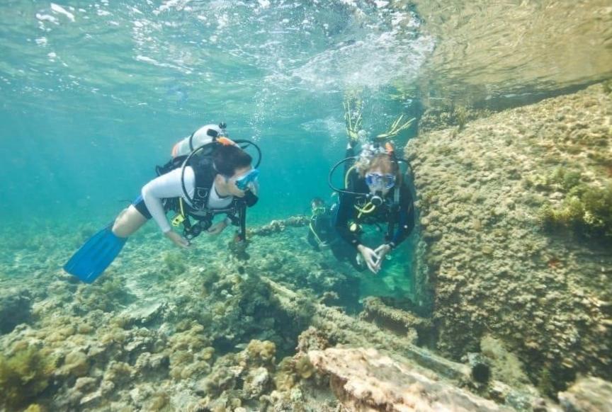  Explore Diving Job Opportunities in Abu Dhabi 