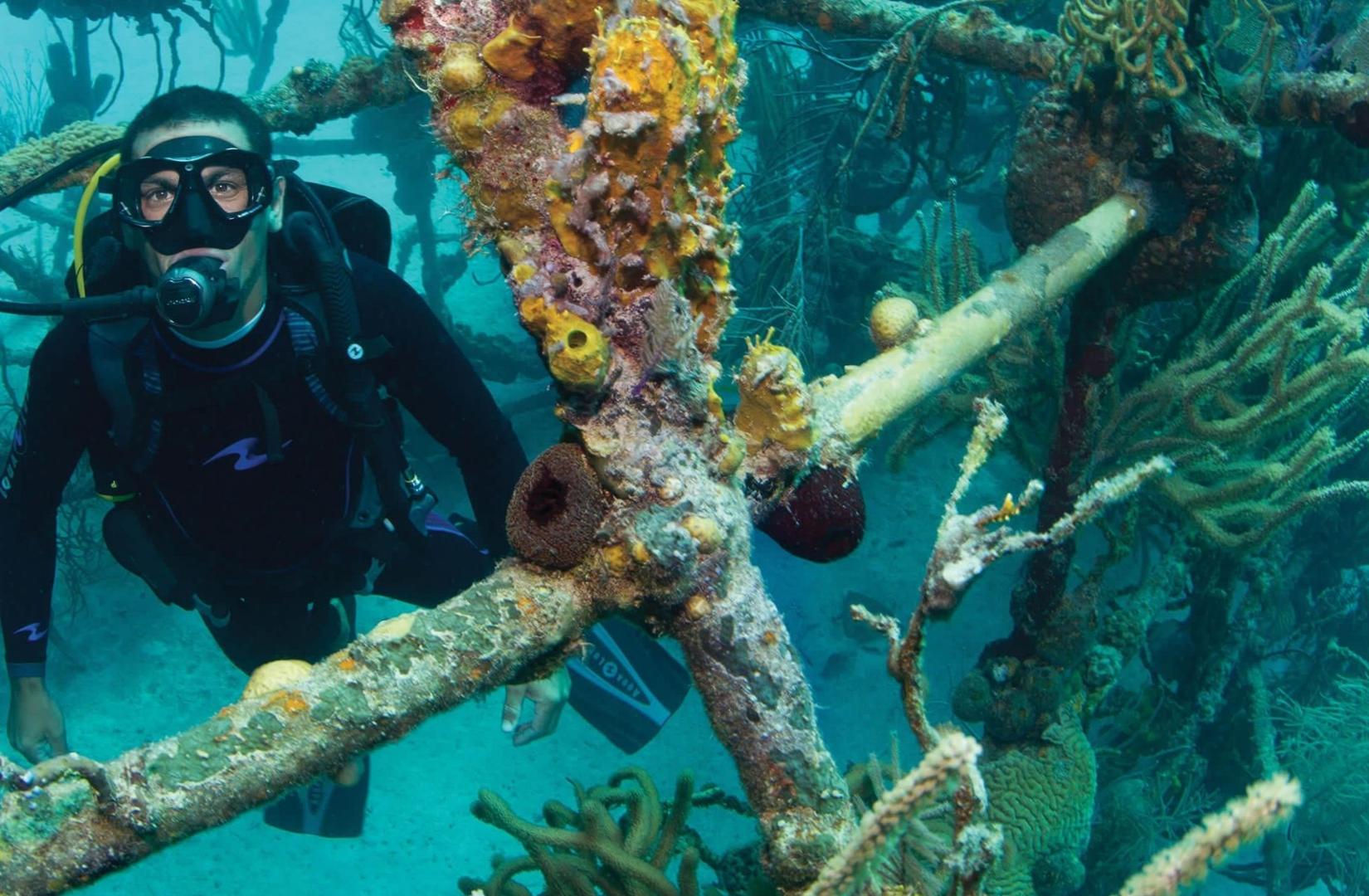  Explore the Depths with Professional Diving Gear in Abu Dhabi 