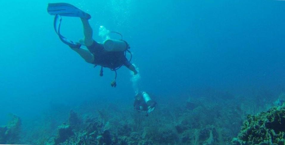  Exploring the Breathtaking Underwater Wonders of Diving in Khasab, Oman 