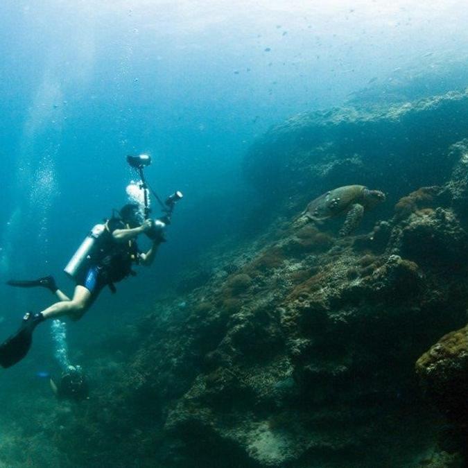  Exploring the Majestic Underwater World of Diving in Fujairah, UAE 