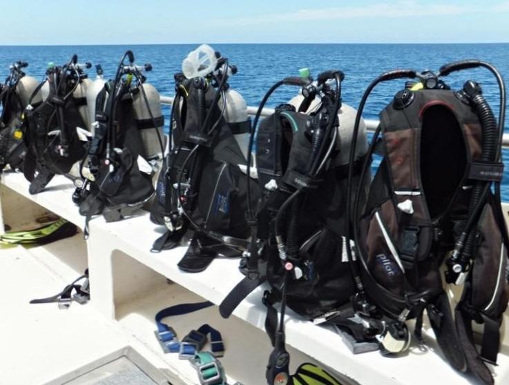  Find Reliable Diving Gear Stores Near Me! 