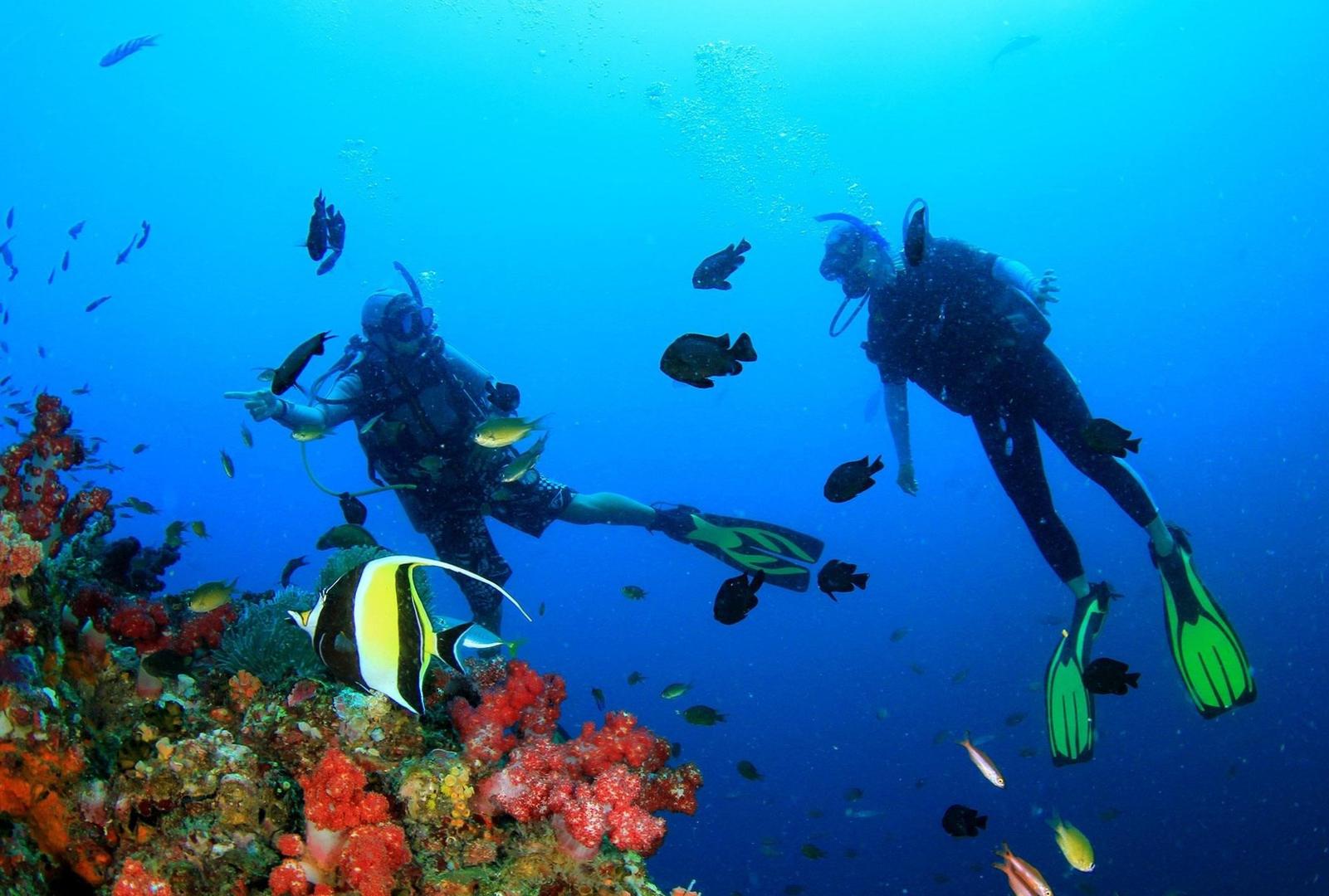  Immerse yourself in the wonders of Philippine diving: A bucket-list experience! 