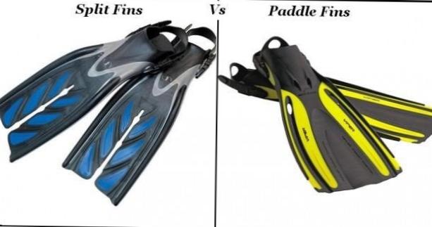  Selecting the Right Fins for Diving and Snorkeling 