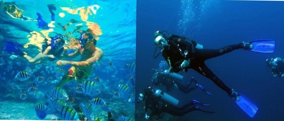  Snorkelling: A Gateway to Underwater Bliss 