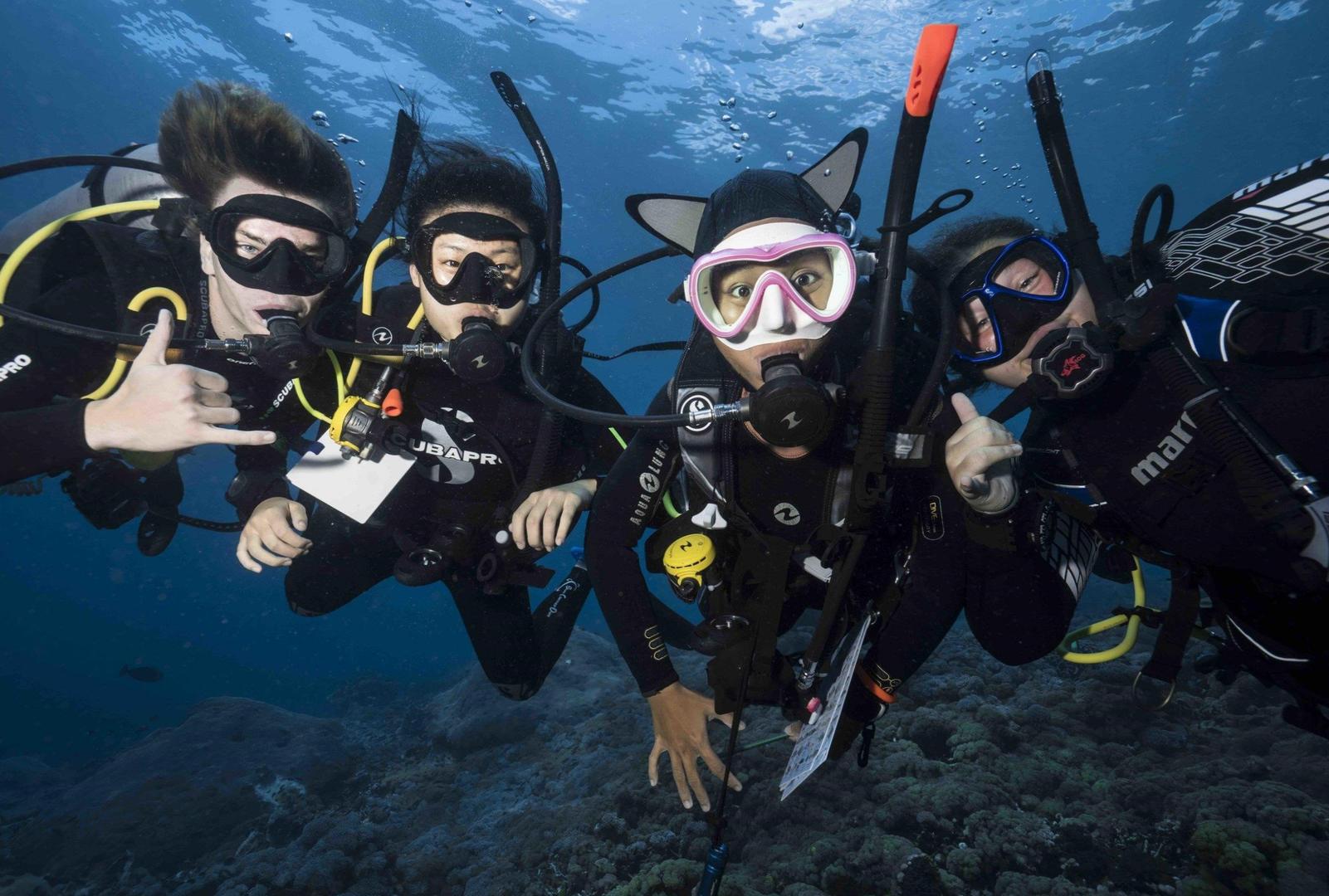  Swim with majestic manta rays in Nusa Lembongan’s dive sites 