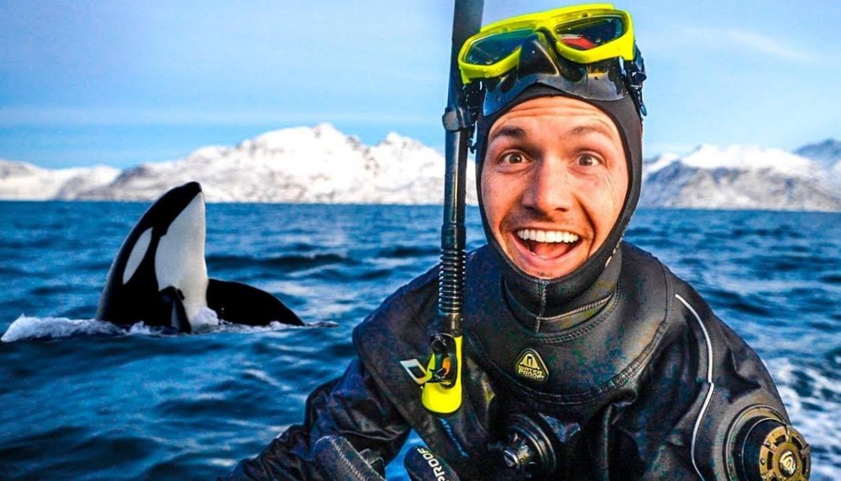  The Fascinating World of Diving with Orcas 