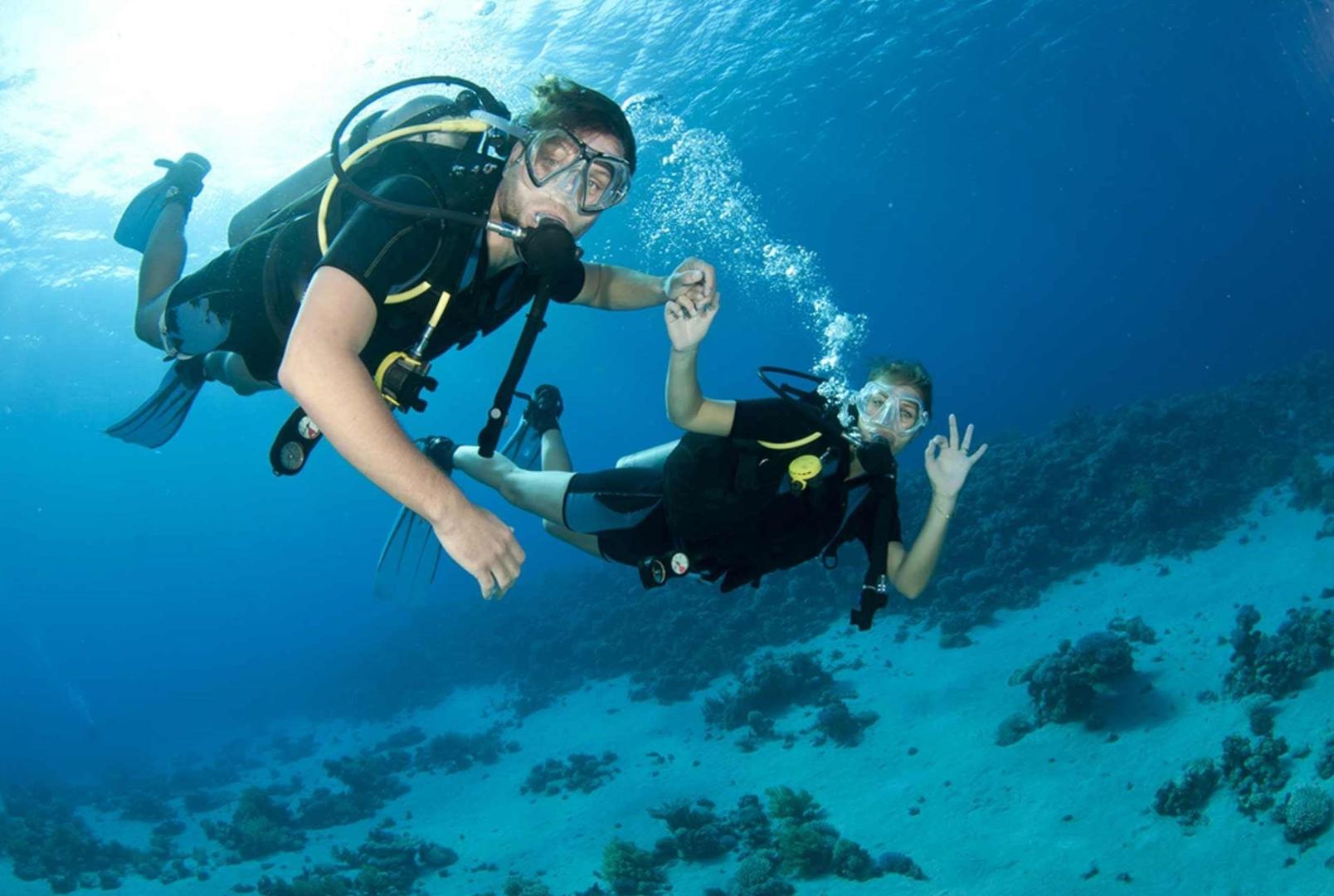  The Importance of Buddy Diving for Divers 