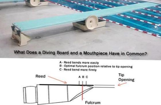  The Ultimate Guide to Diving Boards 