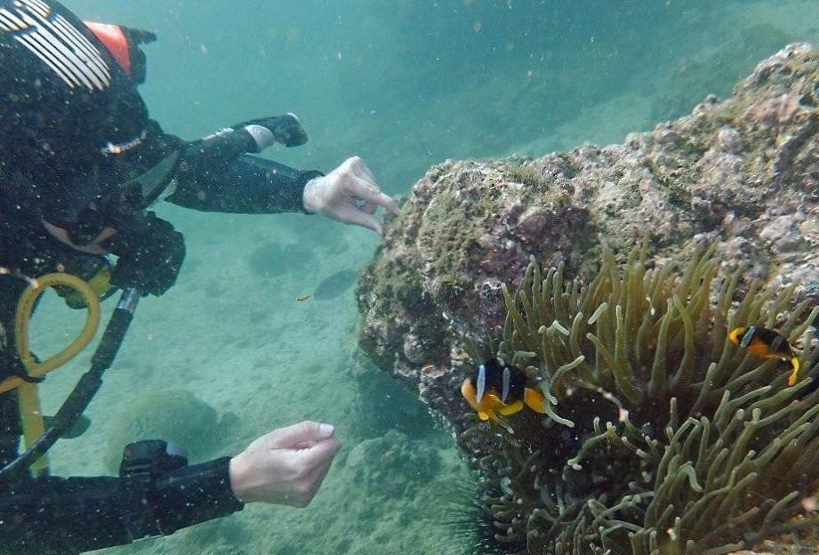  Thrilling Ocean Deep Dive - Uncover Hidden Treasures 