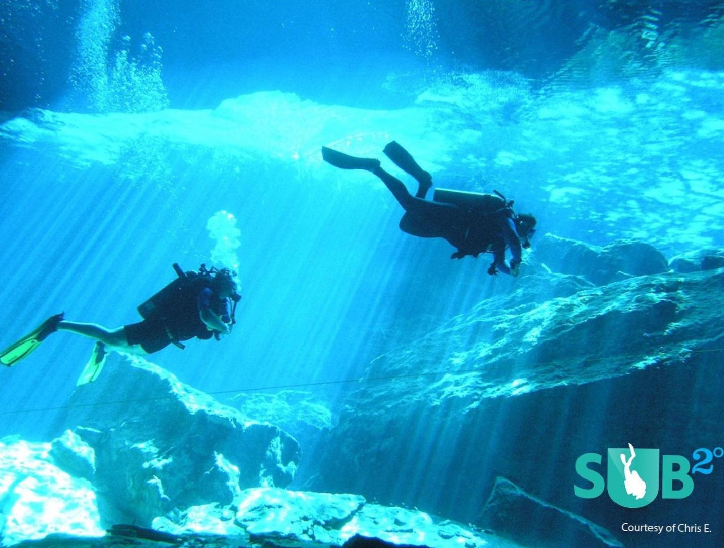  Thrilling Underwater Encounters 