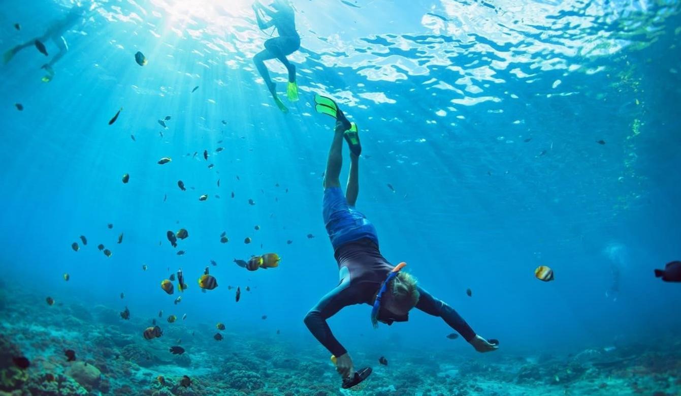  Underwater Photography Jobs in Australia 