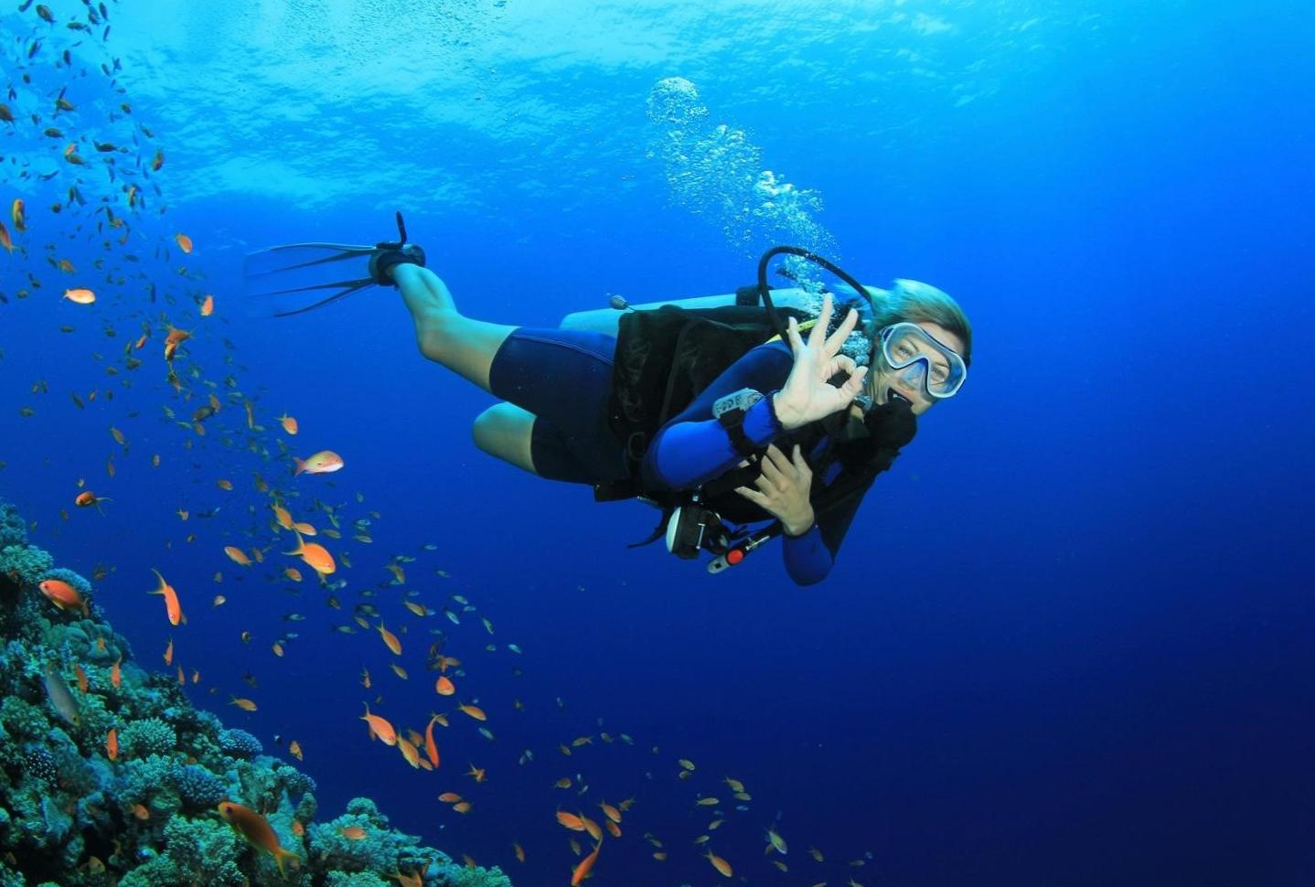  Unleash your inner mermaid/merman with diving lessons in Abu Dhabi 