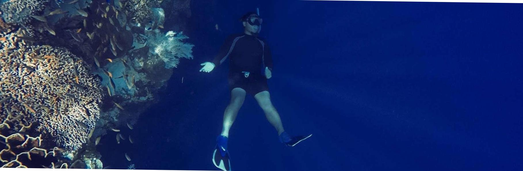  Unleashing the Power of Breath: Free Diving without Air Tanks 